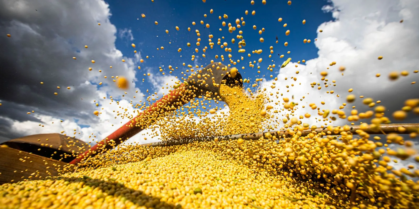 Produção agrícola brasileira supera 927 bilhões em 2025, com recorde de área colhida e liderança regional do Centro-Oeste