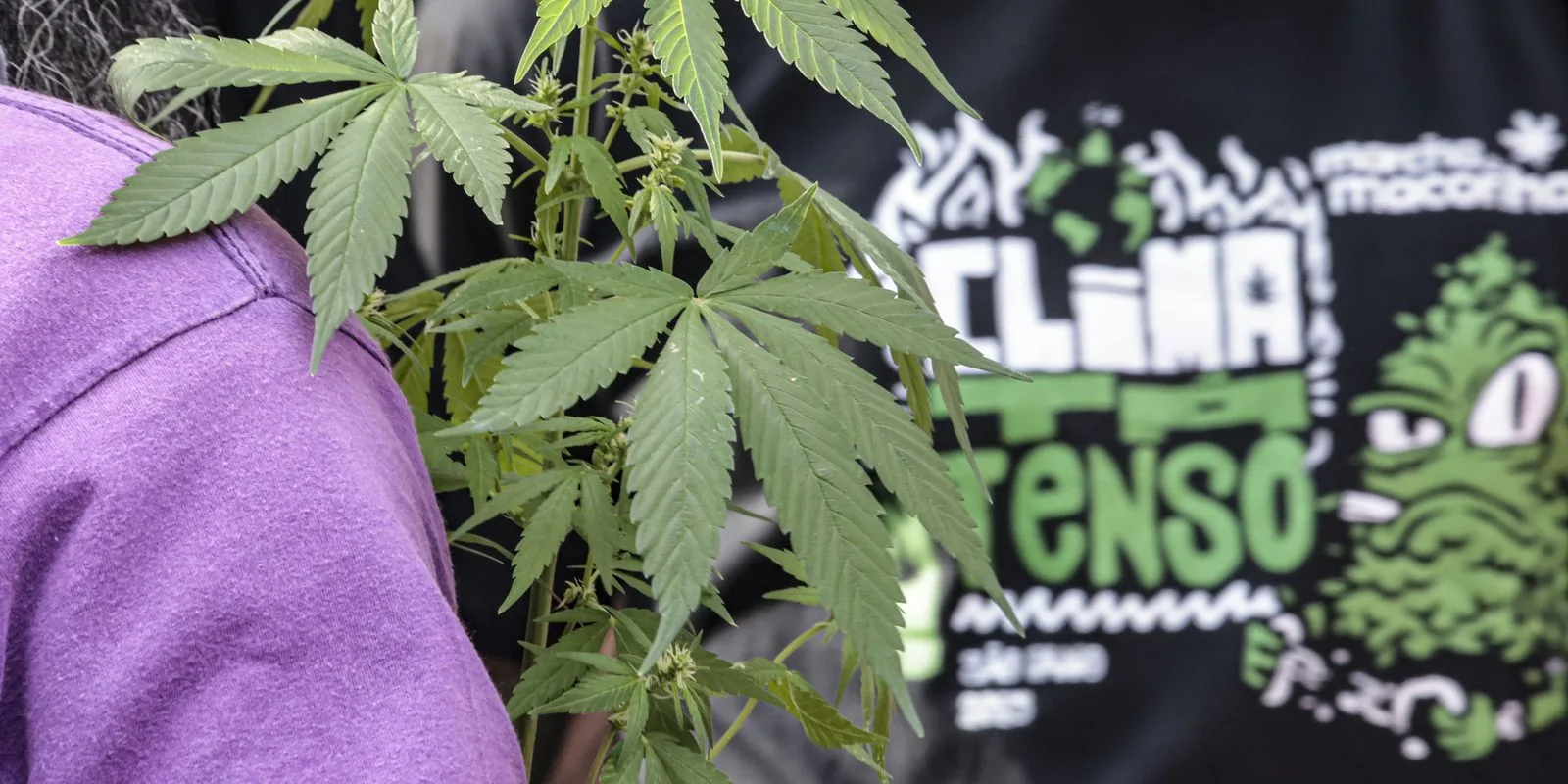 Flagrante por drogas gera mais prisão preventiva do que outros crimes, indica CNJ em boletim da Justiça